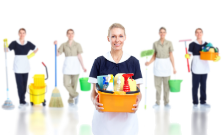 Maid & Cleaning Services