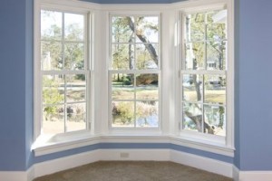 Window cleaners in Plano TX